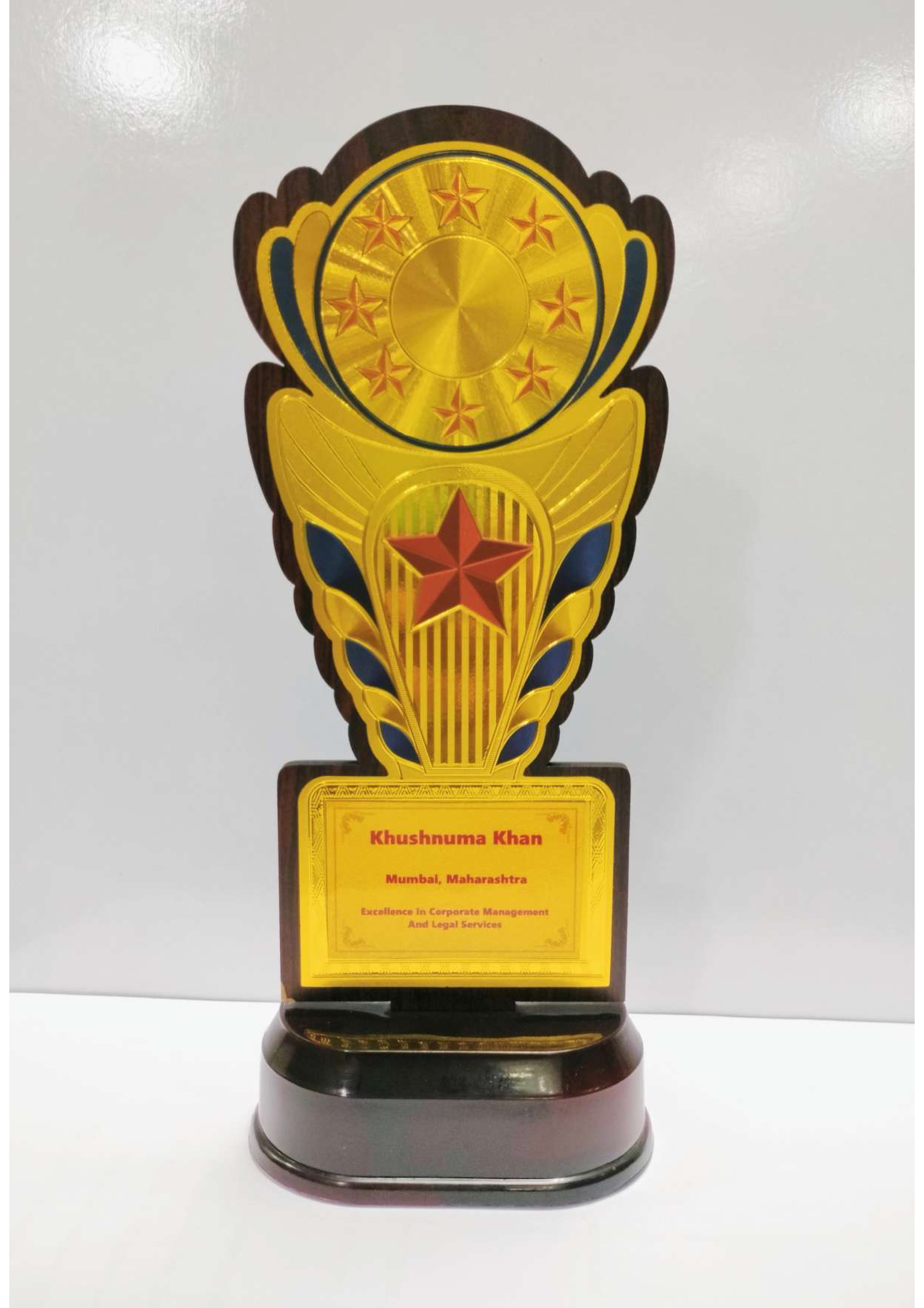 Excellence in Legal Services Award, 2020, from SME Chamber of India
